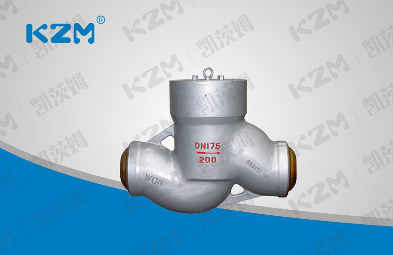 Power station lift check valve