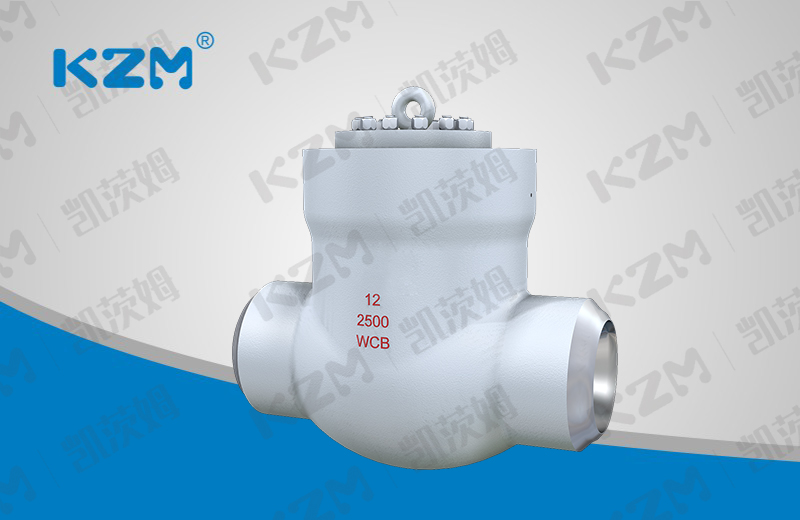 Power station swing check valve