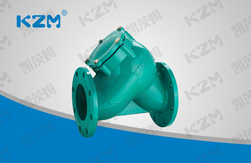 Y Type flange filter