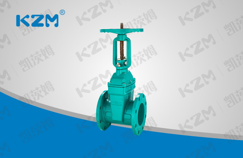 Rising stem elastic seat sealing gate valve