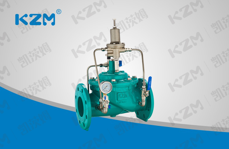 500X Safety holding / relief valve(图1)