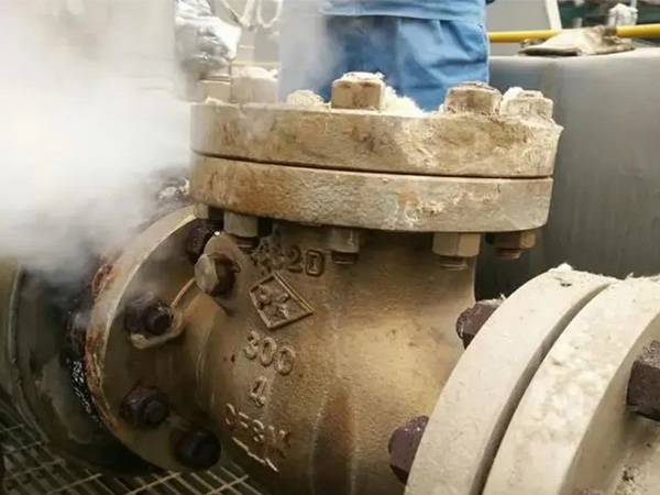 Gate valve leakage cause analysis and treatment measures(图1)