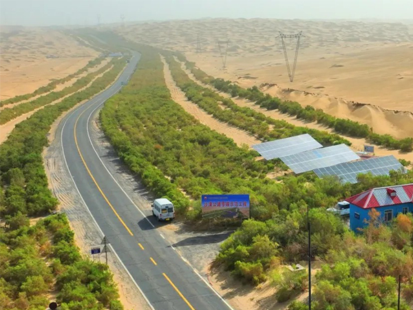 Rooted deep in the desert let green and oil dance(图1)